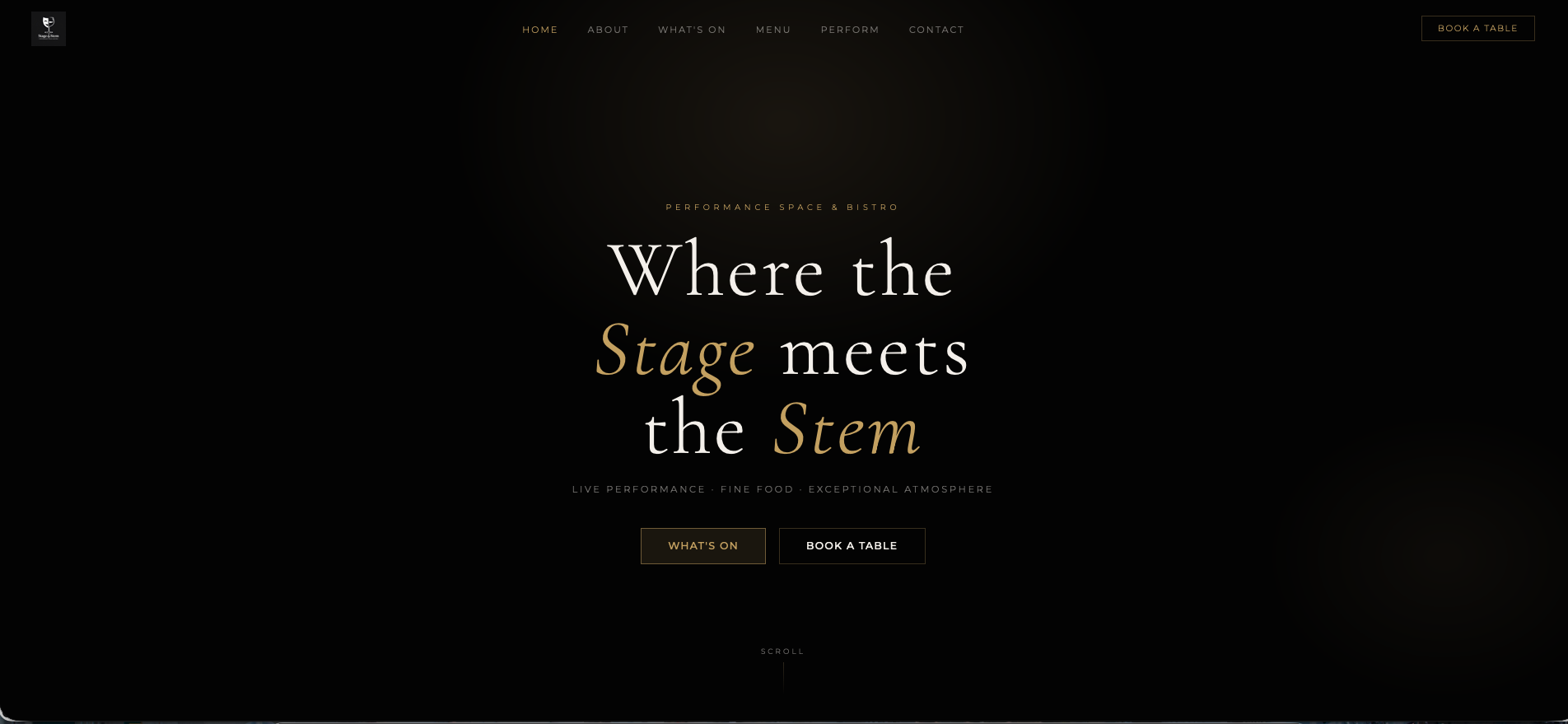 Preview of Stage & Stem website project